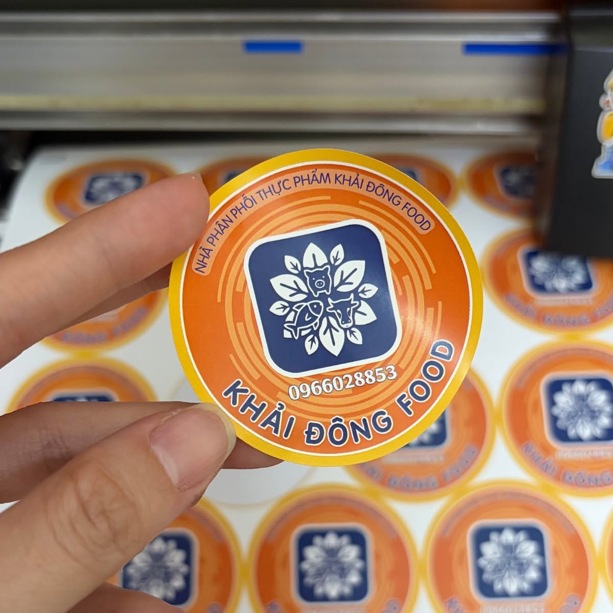 In decal giấy 8 659213956 1447391210512922 9040363525647774530 n