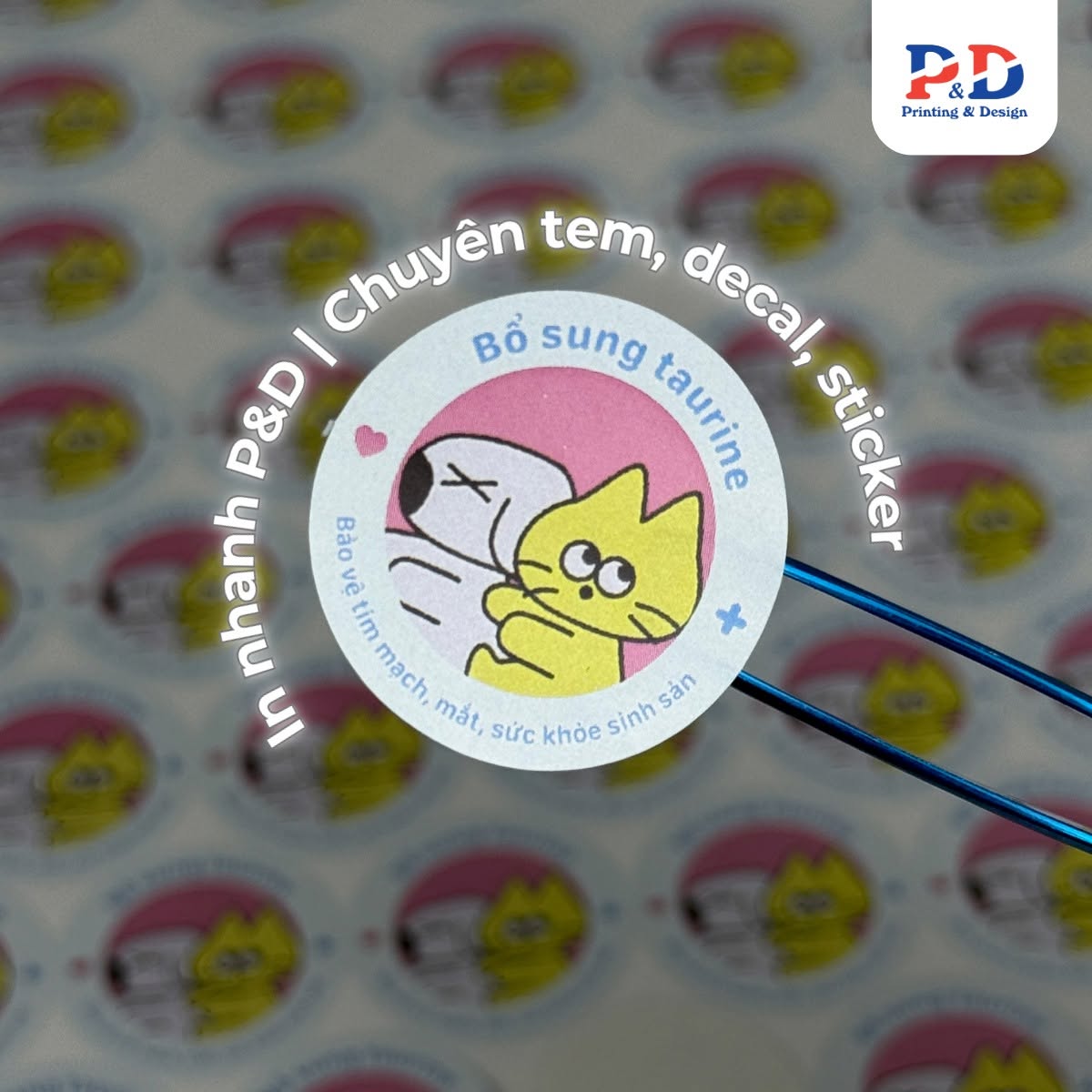 In decal giấy 7 672682876 1463151288936914 6853342387722810690 n